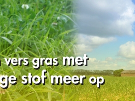 header anton van der hoog