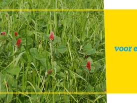 header aanpassen bouwplan