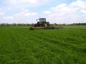 Meer melk door hogere graskwaliteit