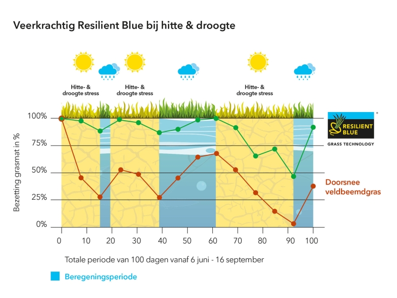 Veerkrachtig Resilient Blue bij hitte & droogte