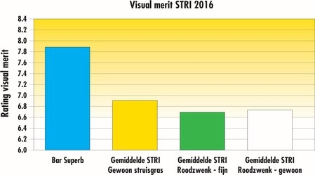 Visual Merit STRI