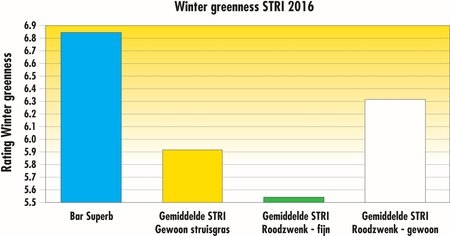Winter greenness