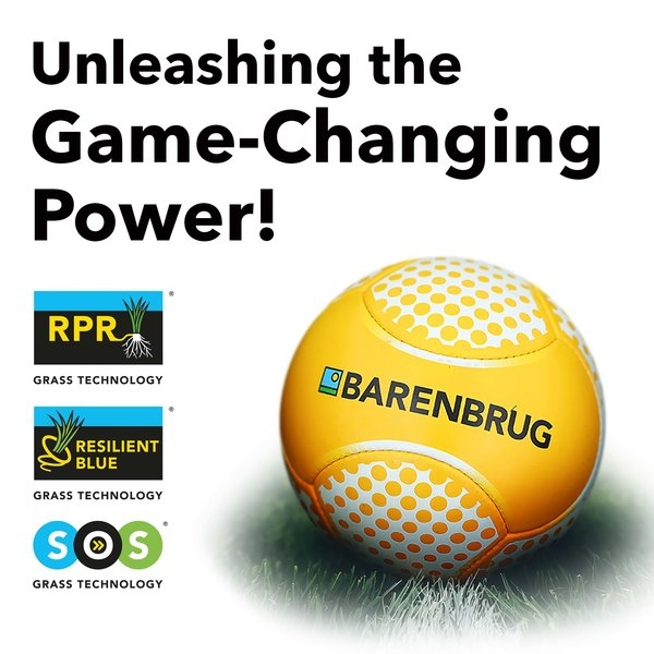 Barenbrug euro 2024 Bal