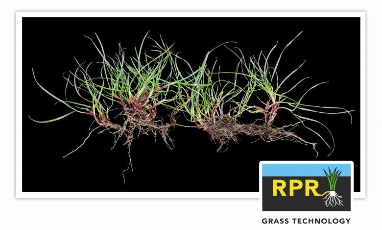 image_rpr-plant-2024.jpg.jpg