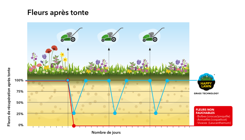 Fleur-tondues-Happy-Lawn-graph
