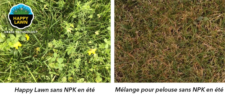 Image-Happy-Lawn-Comparison-FR