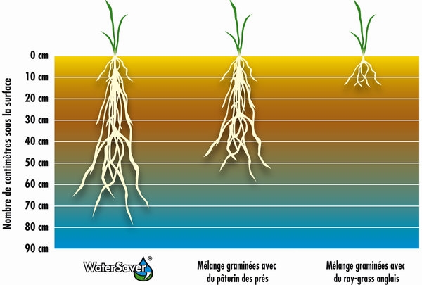 WaterSaver_Deep_rooting_Graph_FR