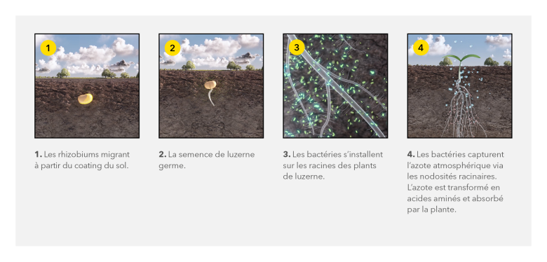 Comment fonctionne le générateur d’azote Yellow Jacket ?
