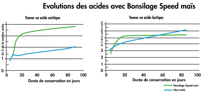 Table bonsilage speed mais