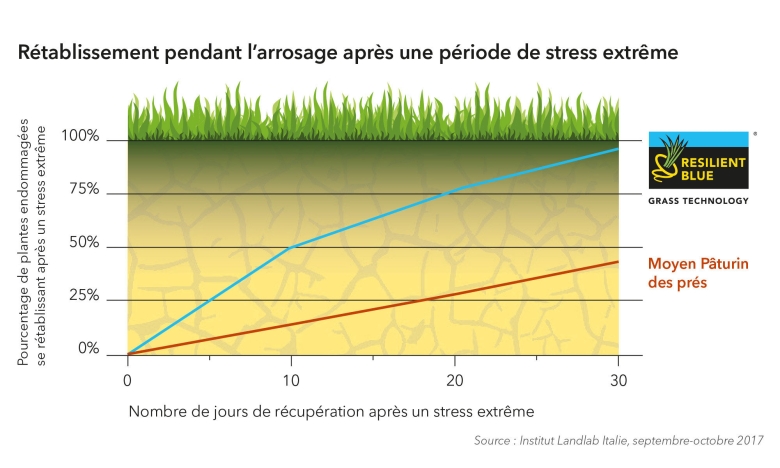 Graph after stress