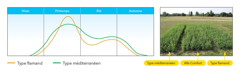 Graph Alfa Comfort