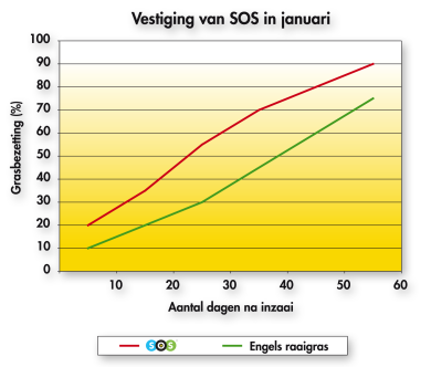 Vestiging van SOS in januari
