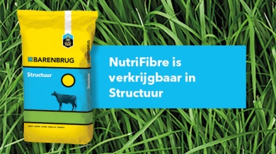 NutriFibre_Structuur_linkitem_new2023.jpg