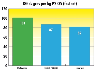 droge stof opbrengst per kg fosfaat.