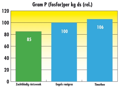 fosfor per kg ds