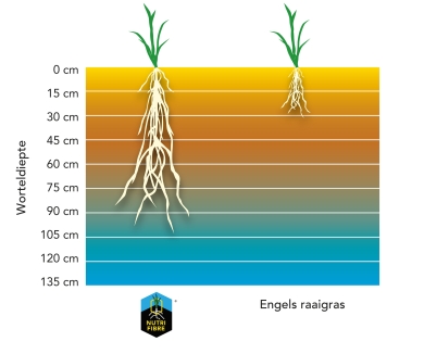 graph_droogtegras_nl-edit.jpg