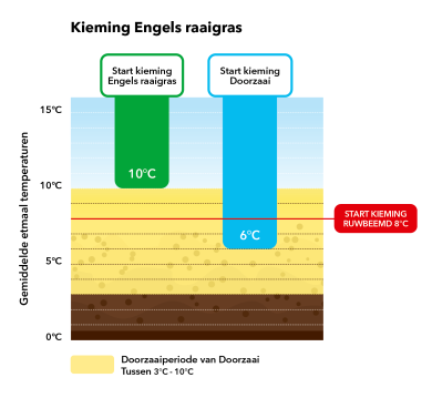 kieming engels