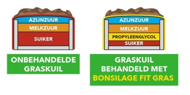 graskuil behandeld met bonsilage fit