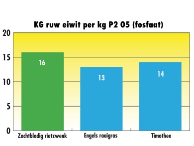 kg ruw eiwit per kg p2 o5 fosfaat