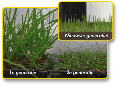 SOS_Generatie.png