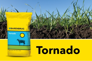 tornado 2