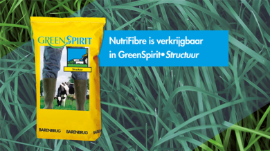 Link-item_GS_structuur