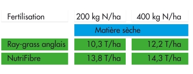 Graph herbe minerale