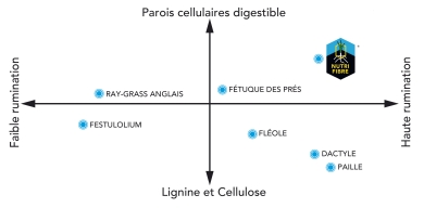 Graph herbe structurale
