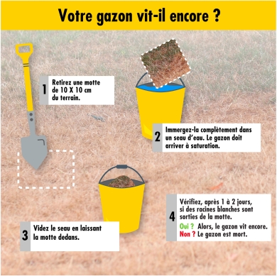 Votre gazon vit-il encpre ?