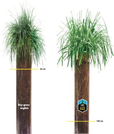Comparaison NutriFibre