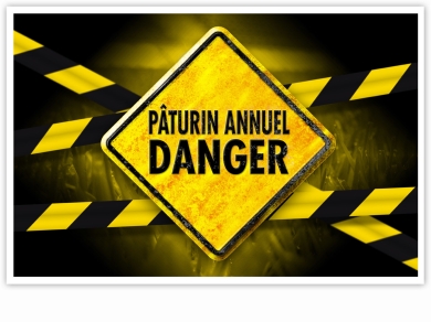 Paturin annuel danger