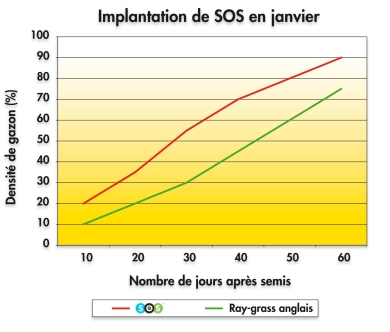 Implantation SOS janvier