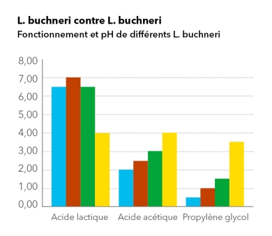 L.Buchneri vs. L.Buchneri