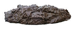 Header_NutriFibre_1900x500.jpg