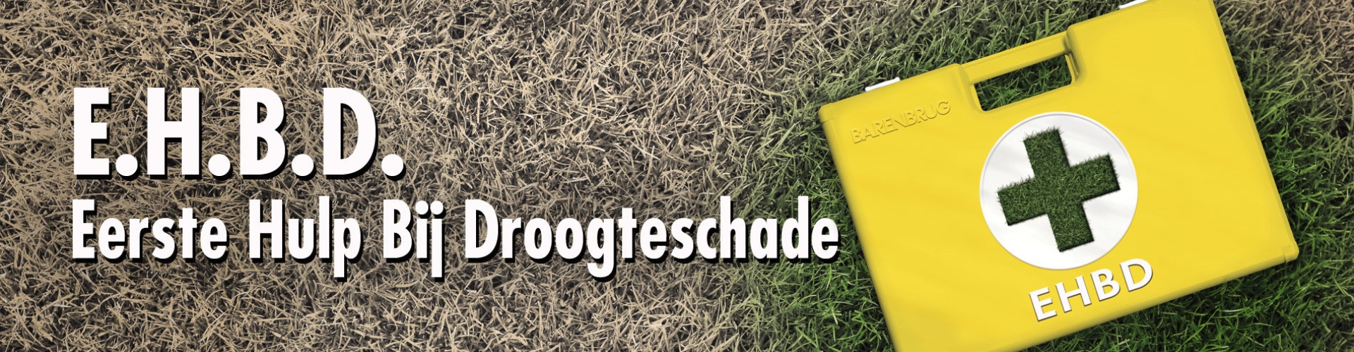 HEADER_EHBD-500px.jpg