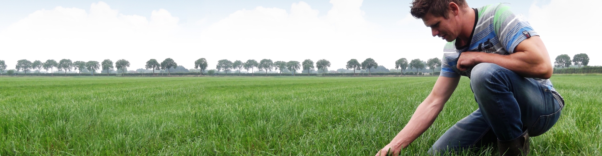 Nutrifibre Structuur Vital