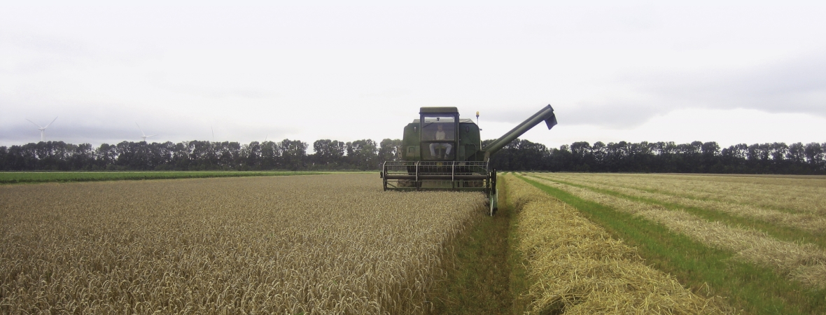 Proterra Cereals